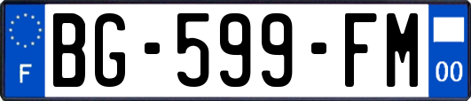 BG-599-FM