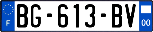 BG-613-BV