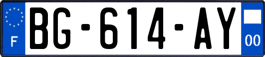 BG-614-AY