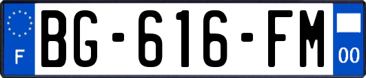 BG-616-FM