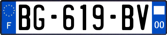 BG-619-BV