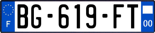 BG-619-FT