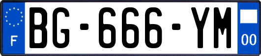 BG-666-YM