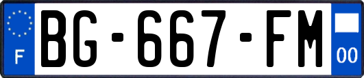 BG-667-FM