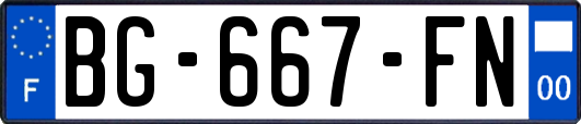 BG-667-FN