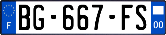 BG-667-FS