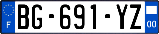 BG-691-YZ