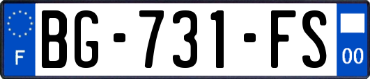 BG-731-FS