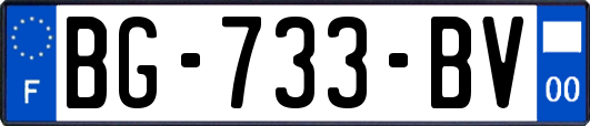 BG-733-BV