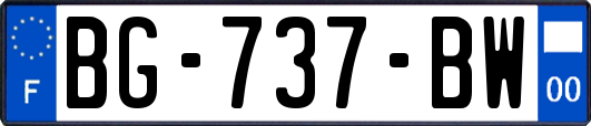 BG-737-BW