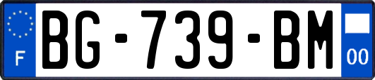 BG-739-BM