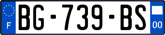 BG-739-BS