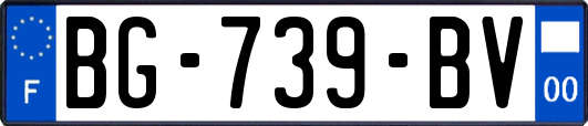 BG-739-BV