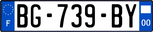 BG-739-BY