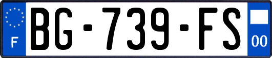 BG-739-FS