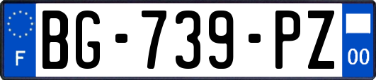 BG-739-PZ