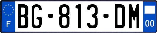 BG-813-DM