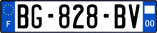 BG-828-BV
