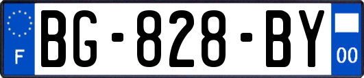 BG-828-BY