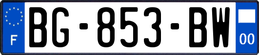 BG-853-BW