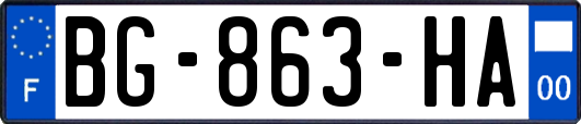 BG-863-HA