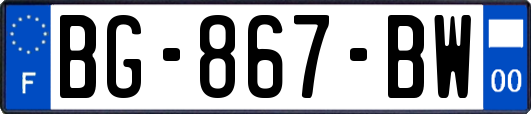 BG-867-BW