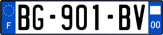 BG-901-BV