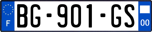 BG-901-GS