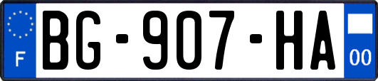 BG-907-HA