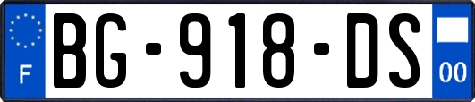 BG-918-DS