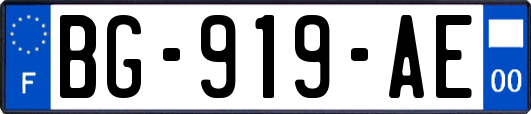 BG-919-AE