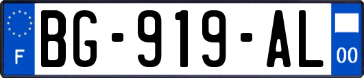 BG-919-AL