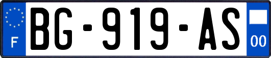 BG-919-AS