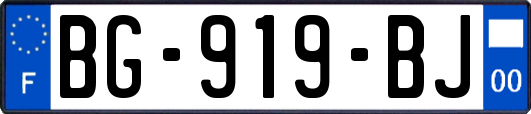 BG-919-BJ