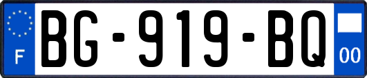 BG-919-BQ