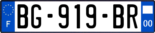 BG-919-BR