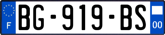 BG-919-BS