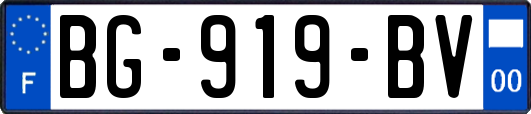 BG-919-BV