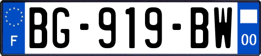 BG-919-BW