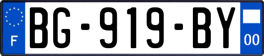 BG-919-BY