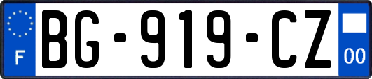 BG-919-CZ