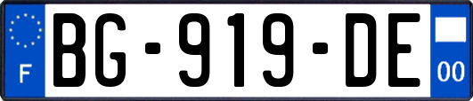 BG-919-DE