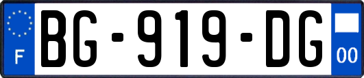 BG-919-DG