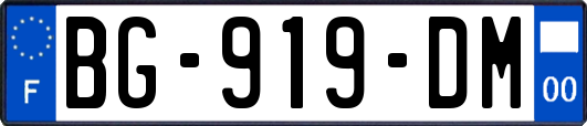 BG-919-DM