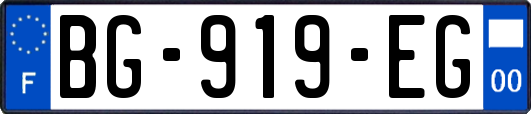 BG-919-EG