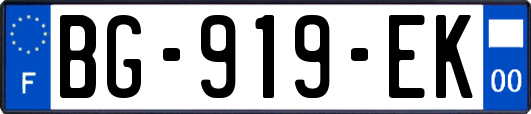 BG-919-EK