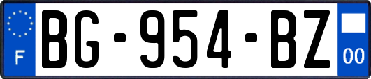 BG-954-BZ