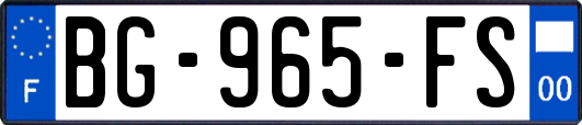 BG-965-FS