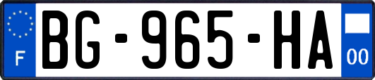 BG-965-HA