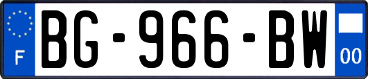 BG-966-BW